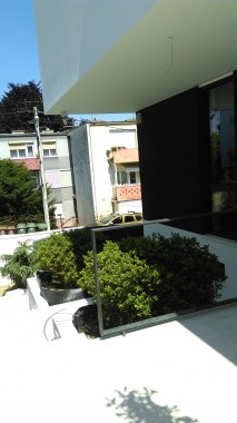 Vila Zelenjak, detalj, biljke